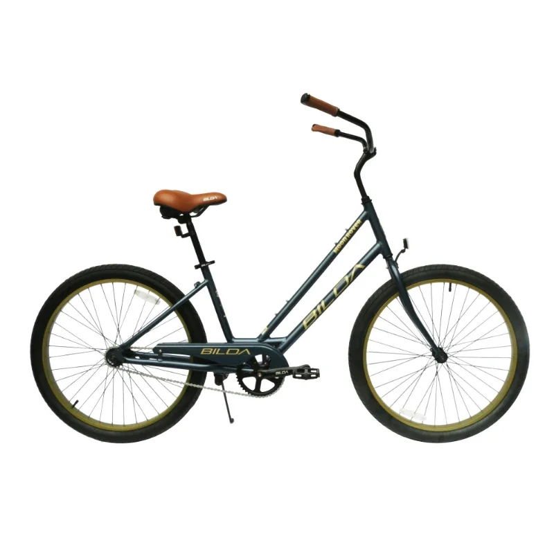 Велосипед с обратен спирачка, Рамка от алуминиева сплав, под Наем за почивка, Плаж под наем, на Плажа, Верига, защитени от ръжда