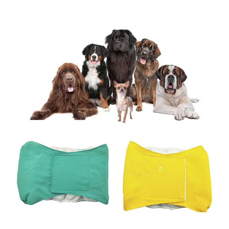 Пере пелени за домашни кучета, Абсорбиращи влагата, Регулируеми Физиологични панталони за кучета, за Многократна употреба на Чорапогащи за домашни кучета, Шорти