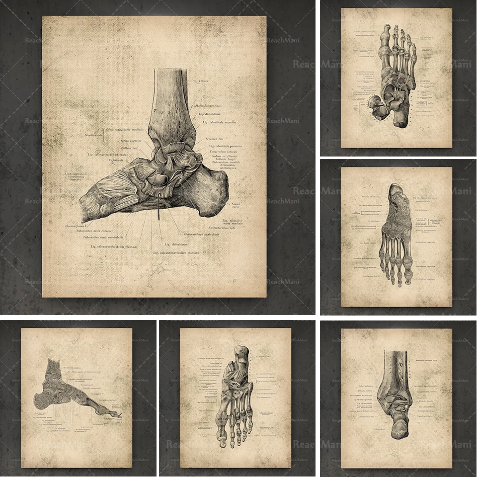 Ретро комплект с принтом анатомията на стъпалото, 6 предмети, подарък ортопед, изкуство хирургия, античен плакат, подарък от лекар-ортопед, украса клиника, д-р