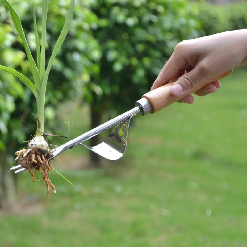 Ръчни инструменти за плевене от неръждаема стомана Градински ръчно плевене за премахване на глухарчета бодили и други плевели Градинарски инструменти за копаене на тревата